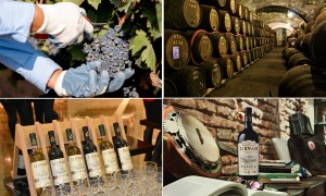 Croft Port Cellars
